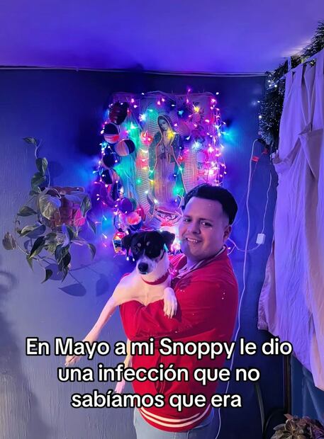 La historia de este perrito se viralizó rápidamente. Foto: TikTok @artube78