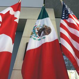 Nuevo TLC va contra medio ambiente: expertos