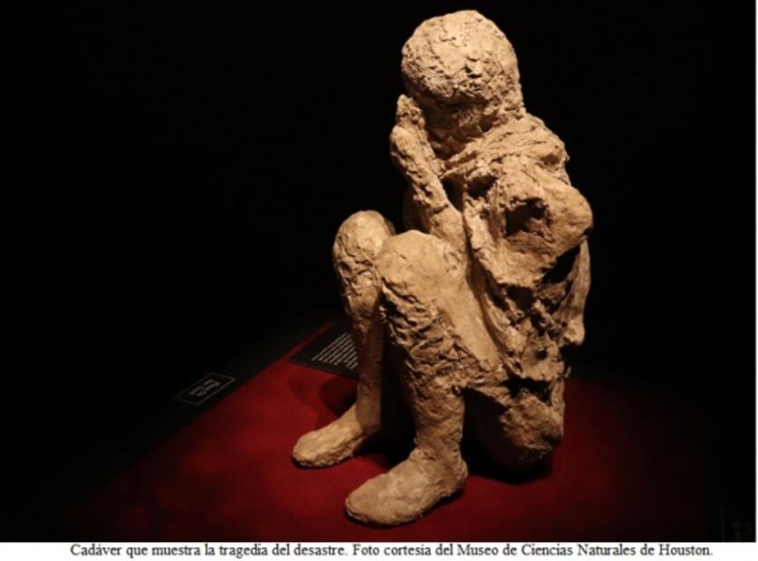 Pompeya: La exhibición