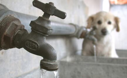 Día Mundial del Agua: Consejos para enfrentar la sequía en CDMX