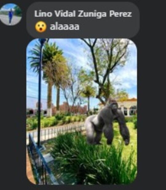 FOTO: Captura de pantalla