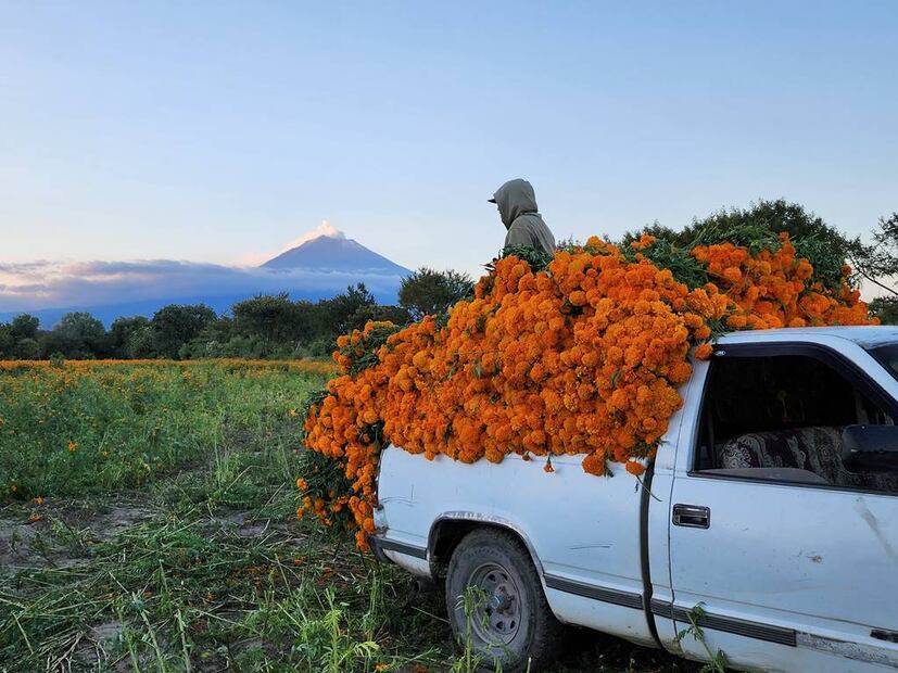 Foto: Viaja Bonito