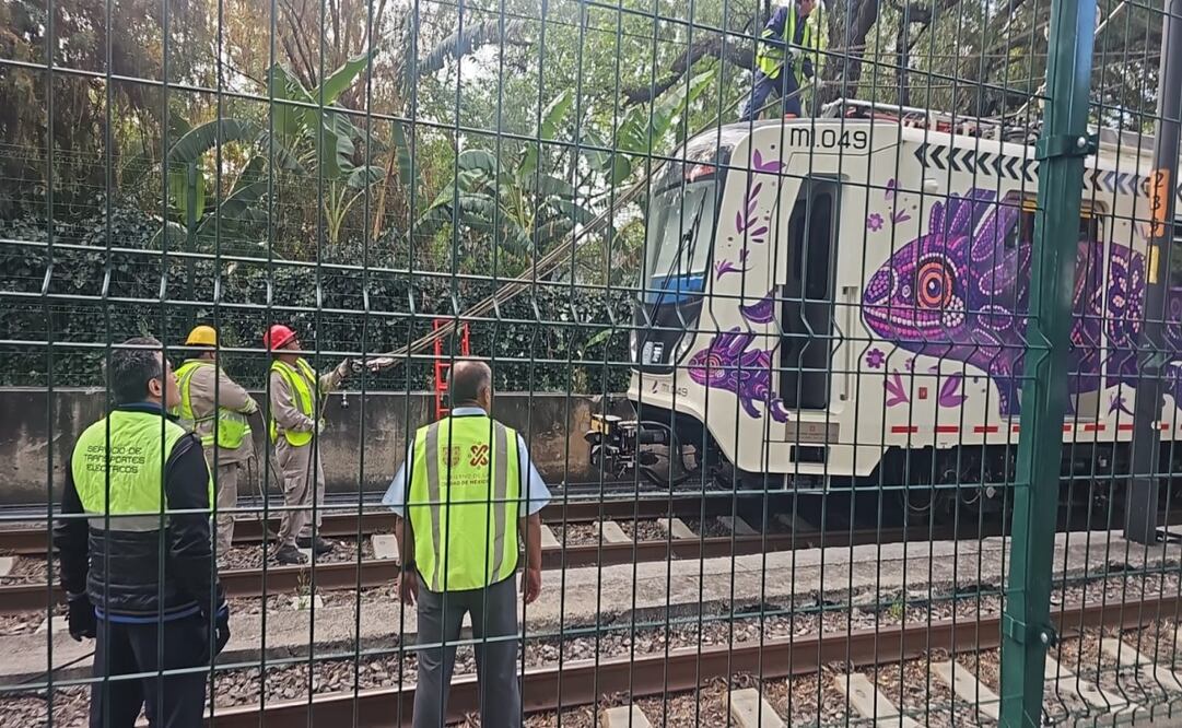 Falla en cable del Tren Liego afecta recorrido de El Ajolote sobre Tlalpan; restablecen el servicio en ambos sentidos. Foto: Especial