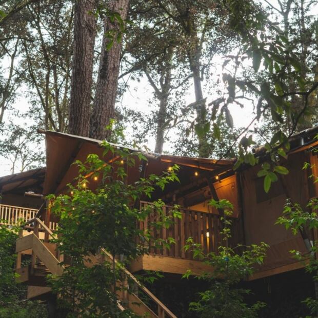 Cabañas en los árboles y burbujas para disfrutar del frío en pareja