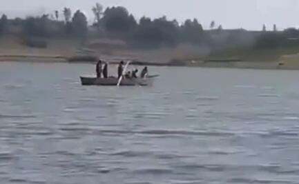 Captan en video cacería ilegal de pelícanos en presa de Almoloya de Juárez