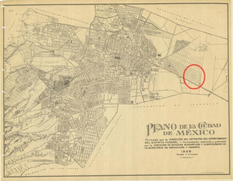 La colonia con forma de telaraña