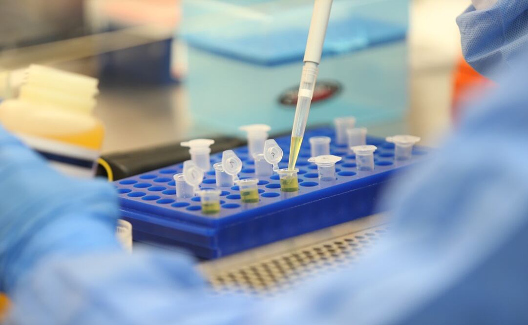 Foto: Archivo/ Xinhua