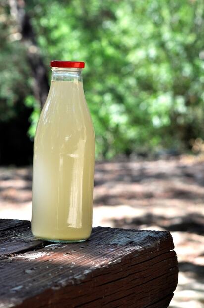 Cura el empacho con soda de jengibre casera