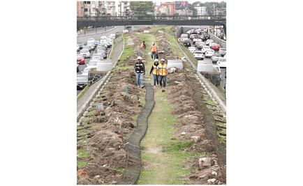 Desarrollan parque lineal en camellón de Viaducto Miguel Alemán