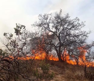Reporta 7 incendios activos en Edomex