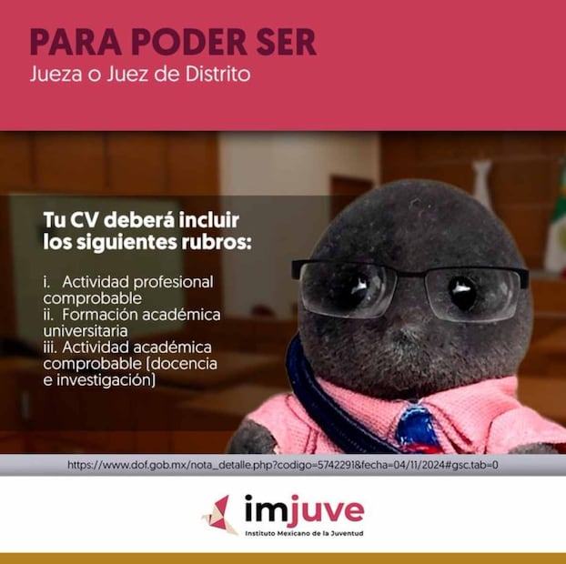 Convocatoria para el Poder Judicial. Foto: X @imjuvemx