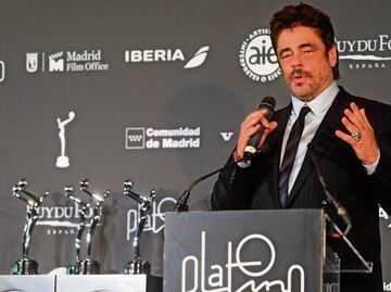 Premios Platino 2023: Cuándo y dónde ver la premiación a lo mejor del cine y las series iberoamericanas