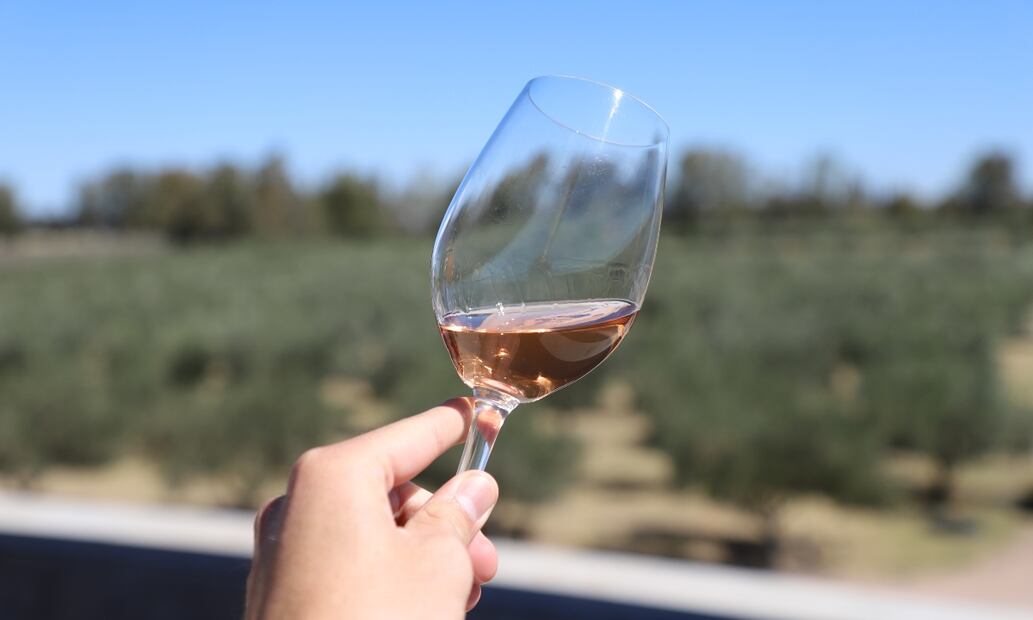 Vinicultura por el Valle de la Independencia. Foto: cortesía