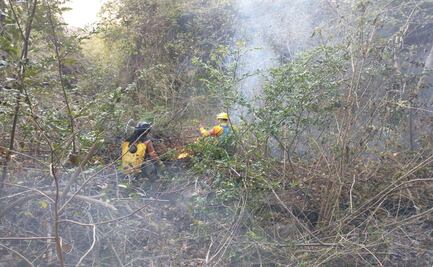 Brigadas combaten incendio en la reserva natural del Cerro Mactumatzá de Tuxtla Gutiérrez