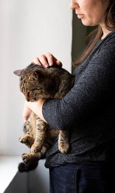 Que un gato se frote y muerda a su dueño no siempre es una señal de agresión. Fuente: Freepik.