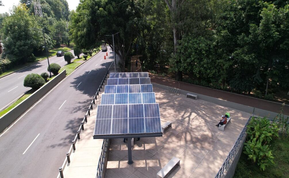 Sedema presenta el Programa de Manejo del Bosque Urbano Canal Nacional; impulsa su conservación y recuperación. Foto: Laura Arana