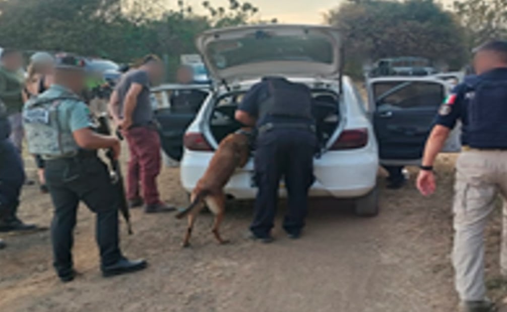 Autoridades inspeccionan autos para evitar la venta de droga (19/11/2025). Foto: Especial