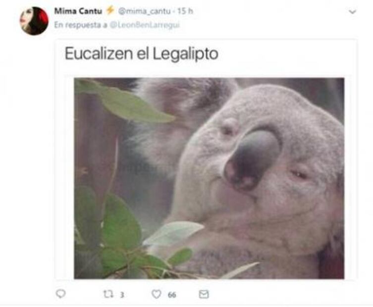 León Larregui desata burlas y memes en Twitter