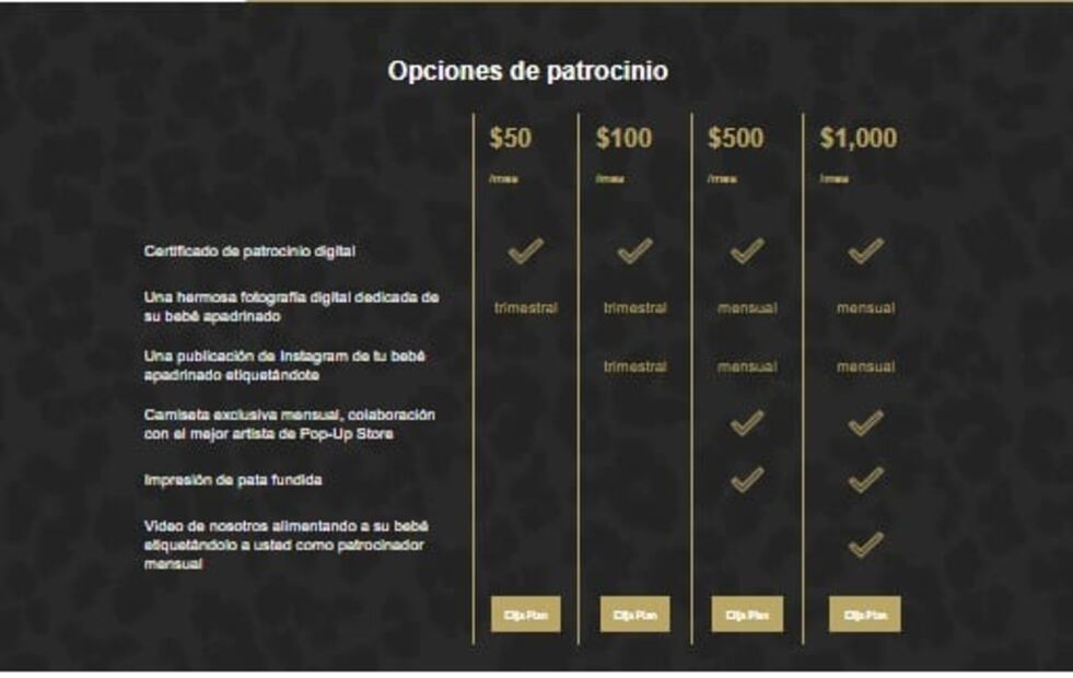 Así la fundación Black Jaguar-White Tiger pedía donativos; felinos vivían en condiciones deplorables