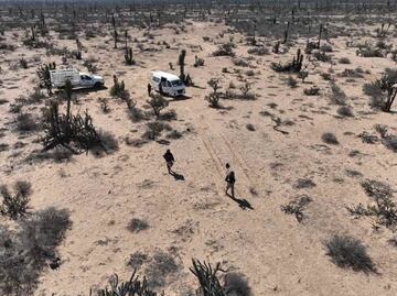 Localizan nuevas fosas clandestinas en Baja California Sur; localizan 21 osamentas