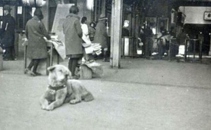 Inédita foto de Hachiko guardada por más de 80 años