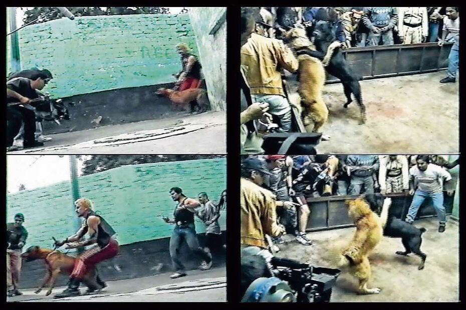 Secuencia de fotogramas que forman parte del arcevo fílmico de Amores perros. Fernando Llanos, from Amores Perros (MACK, 2025). Crédito: Courtesy of Fernando Llanos and MACK.