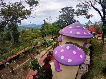 En Xilitla duerme dentro de un hongo como los Pitufos