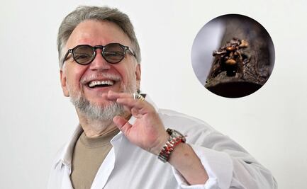 Descubren nueva especie de “hongo zombi” en México y lo bautizan en honor a Guillermo del Toro