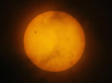 Venus tiene vida microbiana sostenida en la atmósfera: estudio