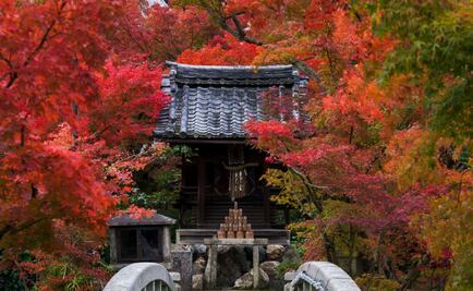 El otoño ya está aquí 