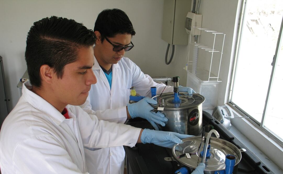 El nopal tiene el 95% de agua y el 5% de materia orgánica. (FOTO: Conacyt)