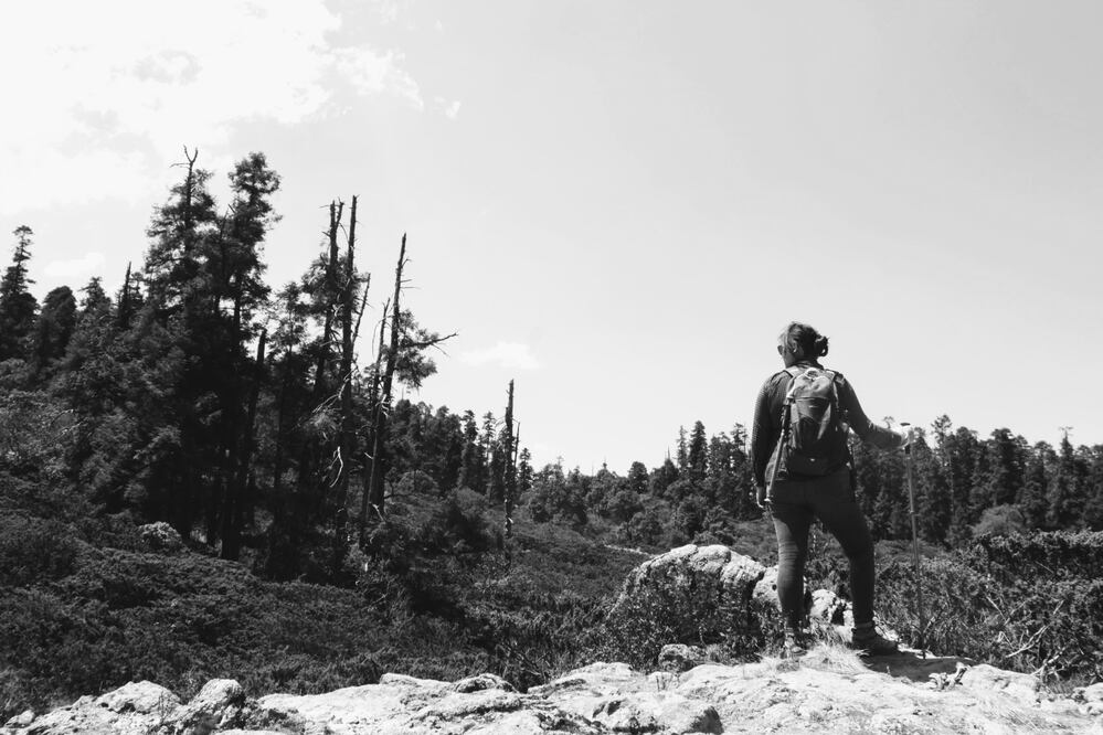 La belleza de nuestro primer Bosque Nacional