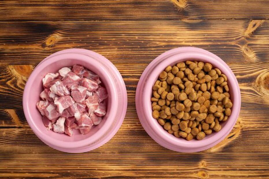 Alimentación natural para perros. Fuente: Freepik.