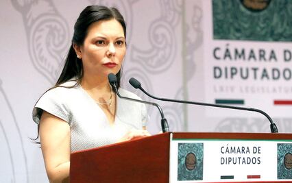 Plantean que diputados puedan sesionar y votar vía remota