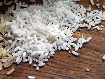 La solución accesible y efectiva para generar colágeno a base de arroz