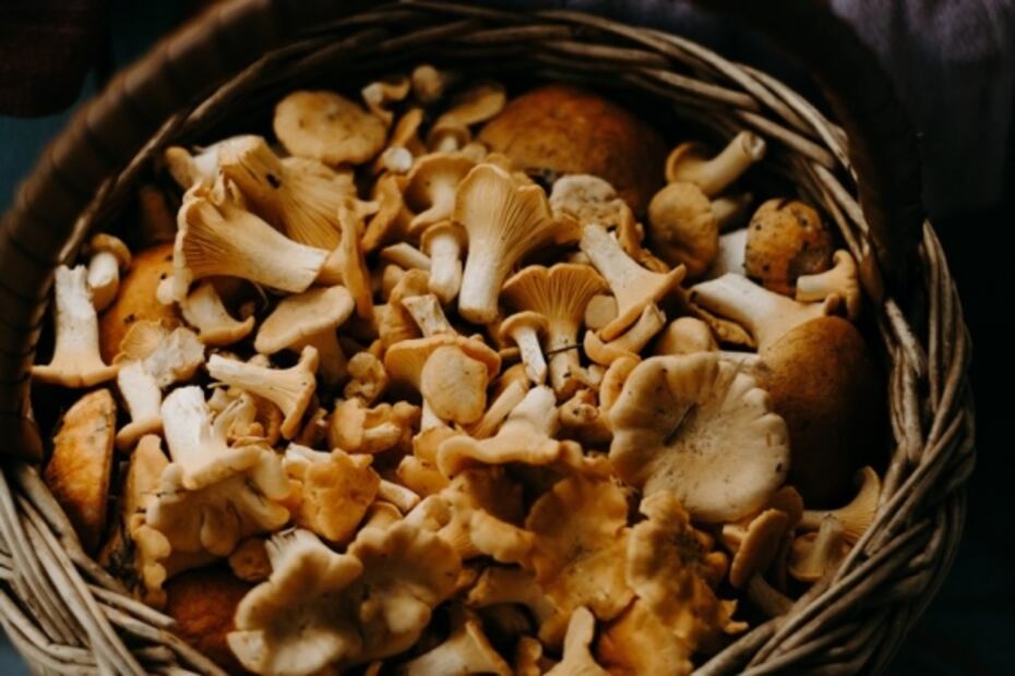 Esta es la alacena de otoño para mantenernos saludables