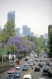 Mexiquenses no tuvieron descuentos ni transporte