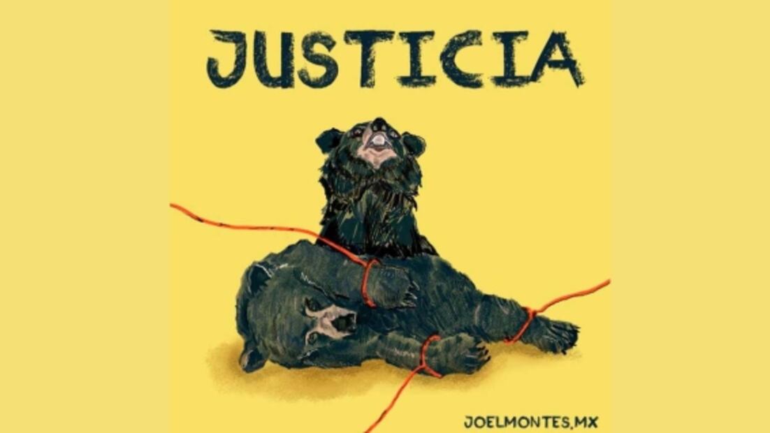 Suspenden a cinco policías por no impedir tortura y matanza de osezno en Coahuila  