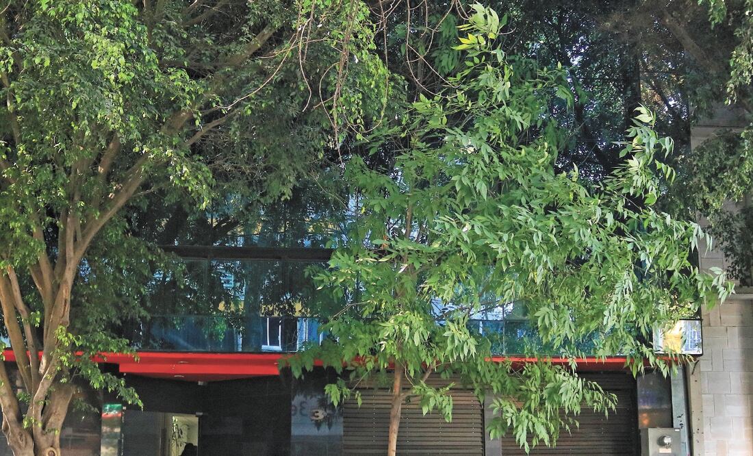 Morena compró el edificio de cinco pisos ubicado en Liverpool 3, colonia Juárez, inmueble de 2 mil 138 metros cuadrados, para mudarse de oficinas. FERNANDA ROJAS. EL UNIVERSAL