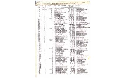 Subastan documento original de la "lista de Schlinder"