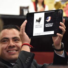 Piden expulsión de diputado de Morena por comparar toros con aborto