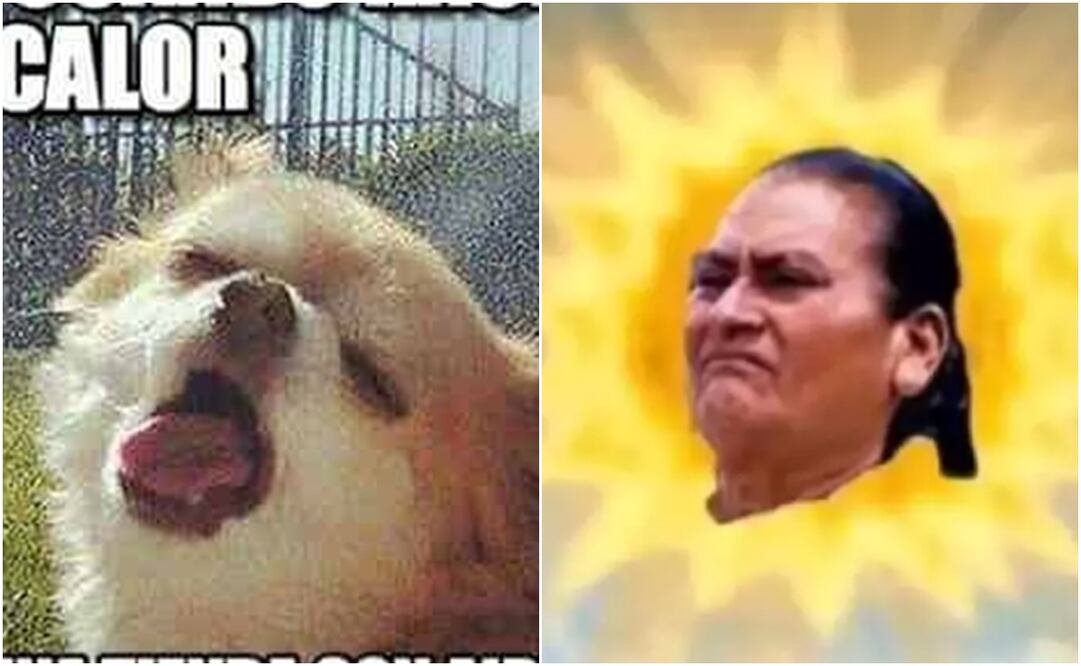 Memes por las altas temperaturas en México. Fotos: Redes Sociales