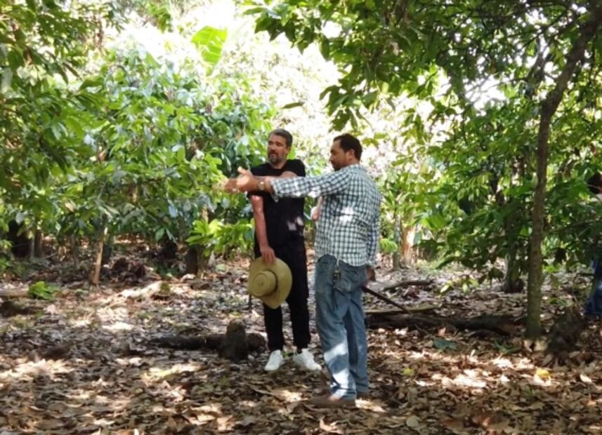 My Field to Bar, el nuevo proyecto de Luis Robledo con cacao ecuatoriano