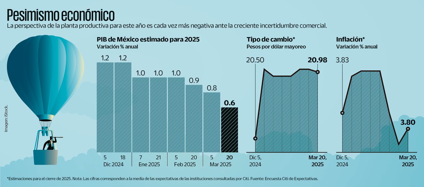 Pesimismo económico. Fuente: Encuesta Citi de Expectativas