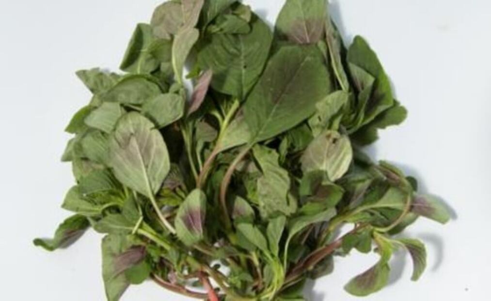 Por qué es bueno comer quelites durante la cuarentena