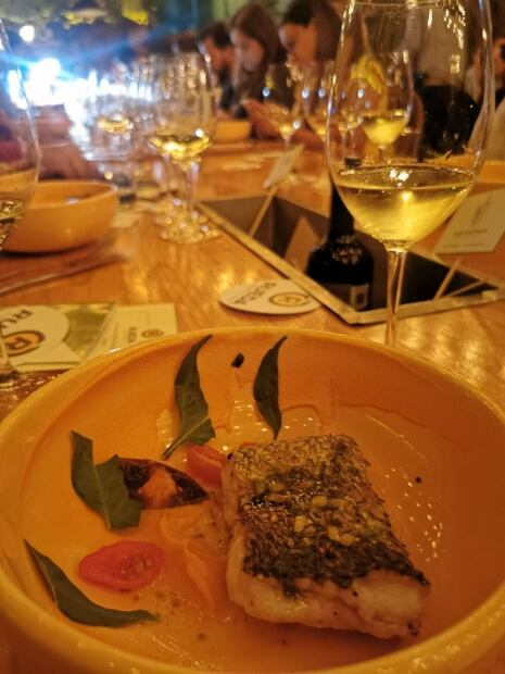 Descubre los vinos de la D.O. Rueda y su versatilidad