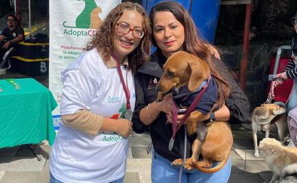 Celebra PAOT 5 aniversario de su plataforma AdoptaCDMX; han logrado colocar en una familia a más de mil 800 lomitos y gatitos 