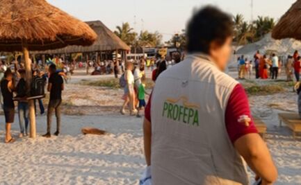 Profepa suma 31 desarrollos inmobiliarios y turísticos clausurados por dañar ecosistemas; rescata 50 especies