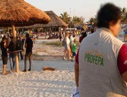 Profepa suma 31 desarrollos inmobiliarios y turísticos clausurados por dañar ecosistemas; rescata 50 especies