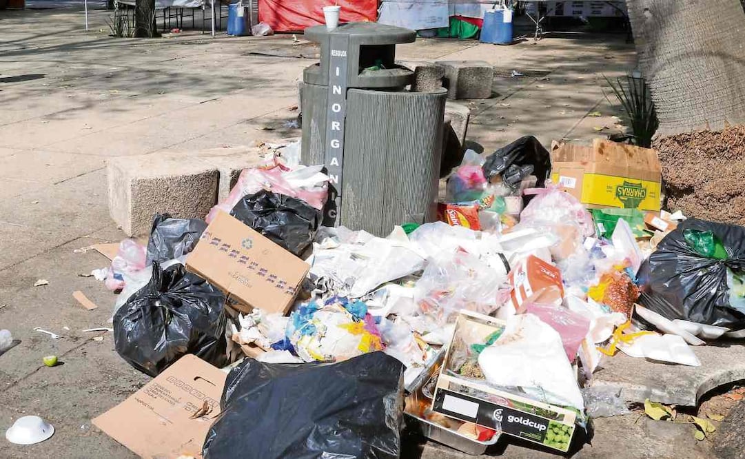 La ciudadanía deberá separar los residuos en tres categorías. Foto: Moisés Pablo Nava / CUARTOSCURO